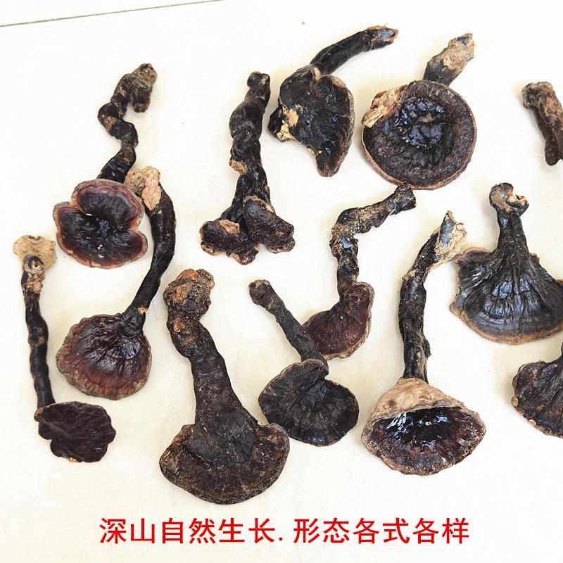 新货天然野生紫芝整黑枝深山PTH特小个头林芝干货正品灵芝灵惠装5