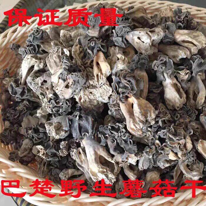 新货巴楚菇00g 蘑新疆巴楚野1生菇干食用菌菇VUY胡杨林皱香柄羊肚 - 实物图
