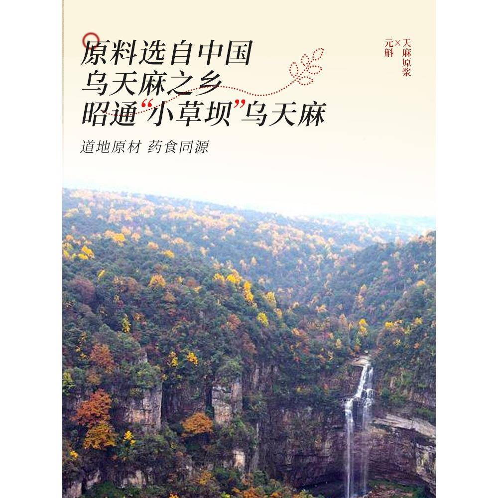 石年官正宗云南乌冬泥饮料口服VTO方液新礼物斛推荐