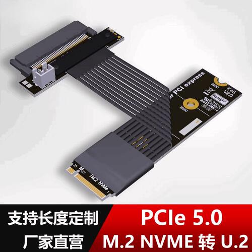 TM.2Ne转U.2SFF-8639SSD延长