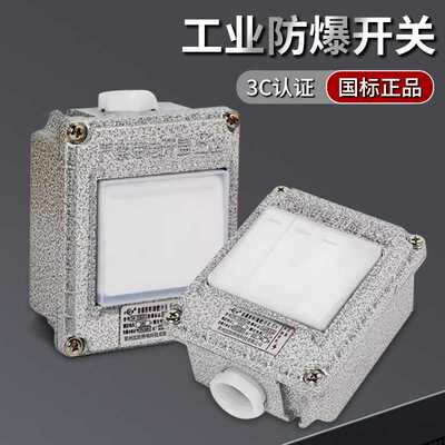 防爆墙壁开关220V10A明装暗装86