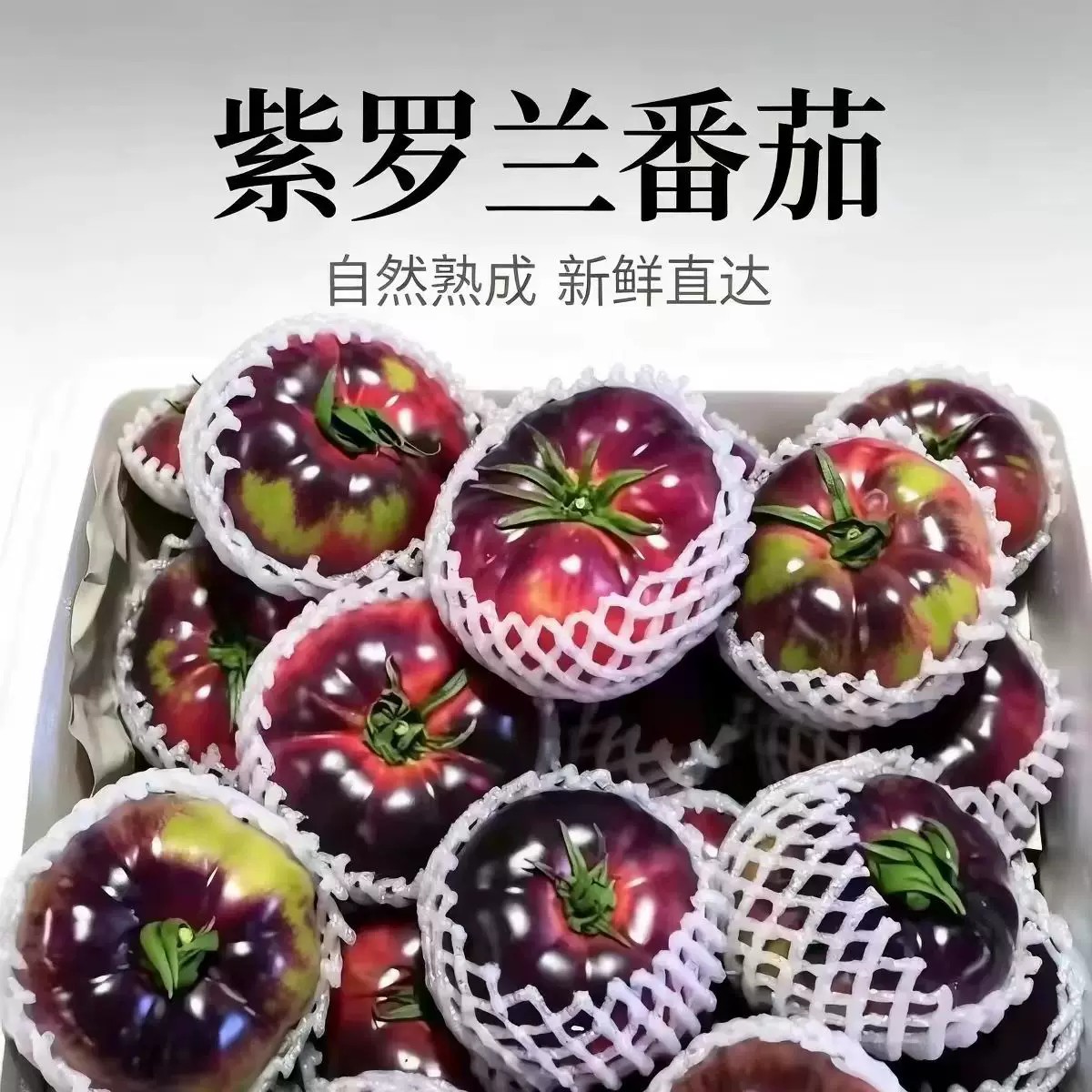 山东特产紫罗兰番茄新鲜现摘丑番茄火山紫马蹄番茄西红柿顺丰包邮图片