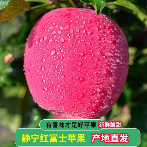 顺丰包邮正宗甘肃静宁苹果脆甜