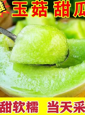 现摘冰淇淋玉菇甜瓜香甜多汁