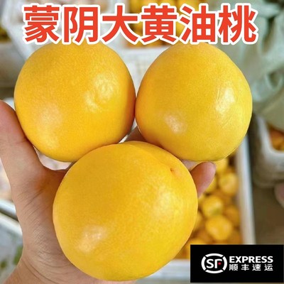 蒙阴黄肉油桃应季新鲜心山