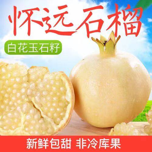 正宗怀远白石榴三白石榴 白花白皮玉石子纯白玉石榴滋补水果