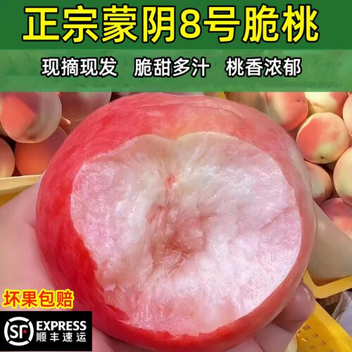 沂蒙山8号脆桃新鲜水果应季硬桃毛桃水蜜桃当季山东蒙阴桃子顺丰