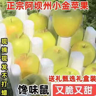 正宗四川小金苹果阿坝州高原青苹果大果新鲜酸脆甜孕妇水果应季5