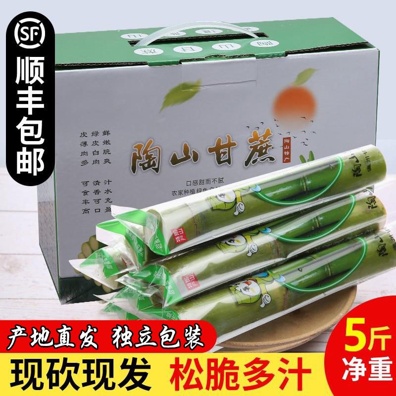 正宗陶山甘蔗新鲜水果顺丰包邮