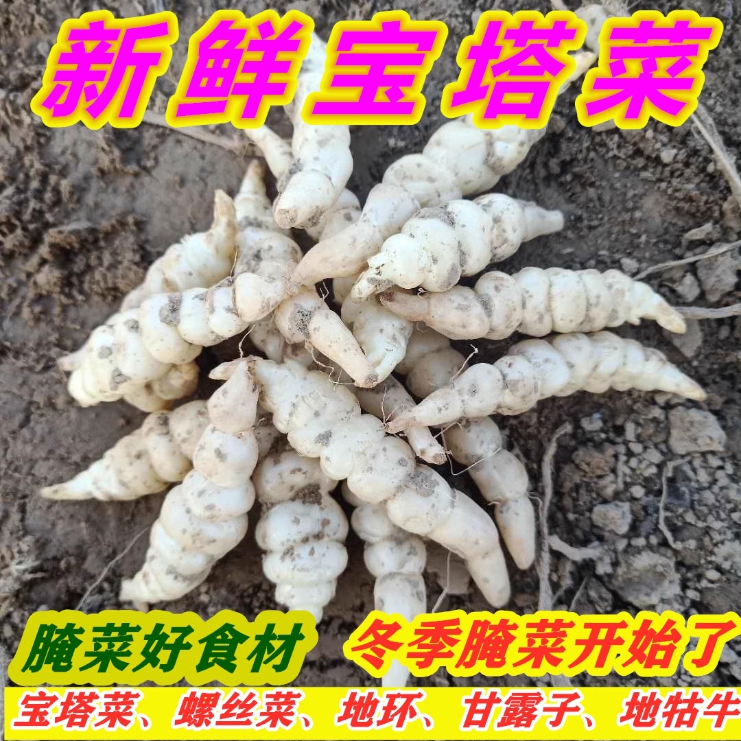 地环新鲜现挖腌制酱菜