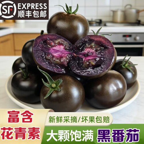 山东黑番茄新鲜现摘生吃顺丰包邮