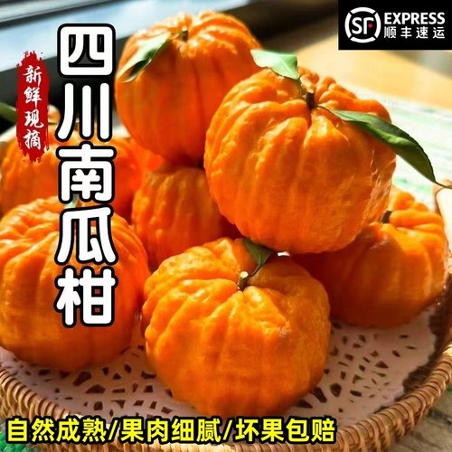 【顺丰礼盒】新鲜南瓜柑橘灯笼柑发财柑橘当季新鲜水果沙糖桔子