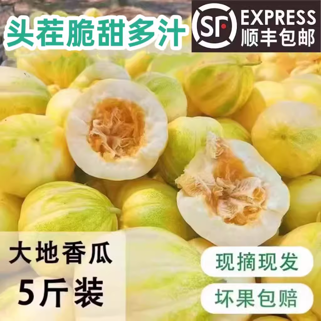 2025新货东北老式大地香瓜白糖罐