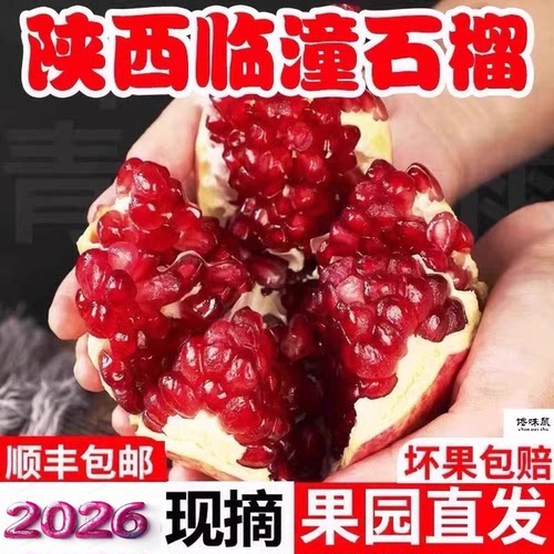2026陕西临潼石榴新鲜软籽礼盒装
