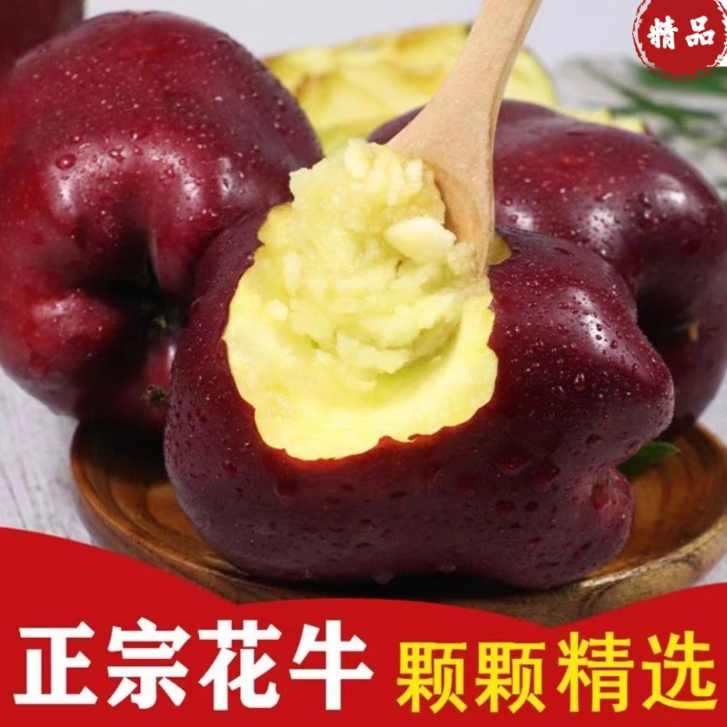 2025年甘肃天水花牛苹果