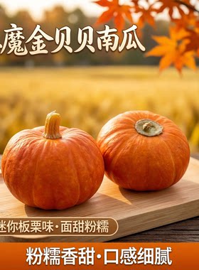 红魔金贝贝南瓜粉糯香甜