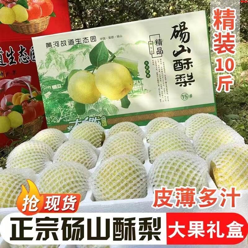 【现货】现摘正宗砀山酥梨10斤精品特产水果新鲜汤山雪梨子礼盒装