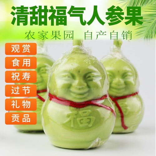 人参果福娃新鲜水果人形果人身果长寿果贡果甜瓜节日礼品水果