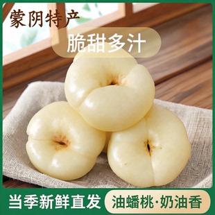 奶油蟠桃新鲜水果当季整箱蒙阴脆甜白蟠桃应季桃子的脆桃油蟠桃