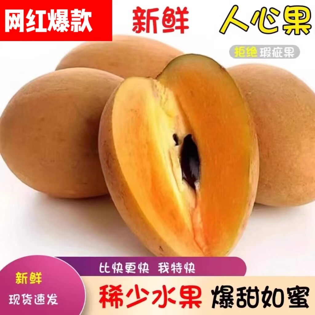 海南人心果人参果仙人果现摘5斤装 三亚新鲜孕妇水果果园现摘