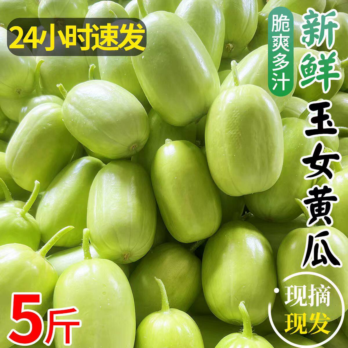 山东玉女小黄瓜新鲜拇指青枣黄瓜脆甜多汁孕妇宝宝爱生吃的黄瓜