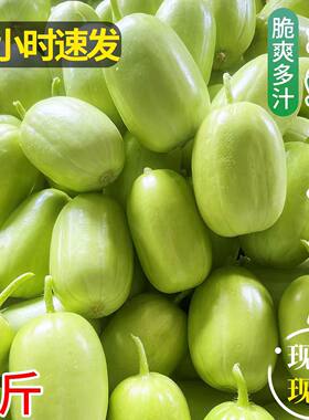 脆甜多汁新鲜水果黄瓜玉女小黄瓜