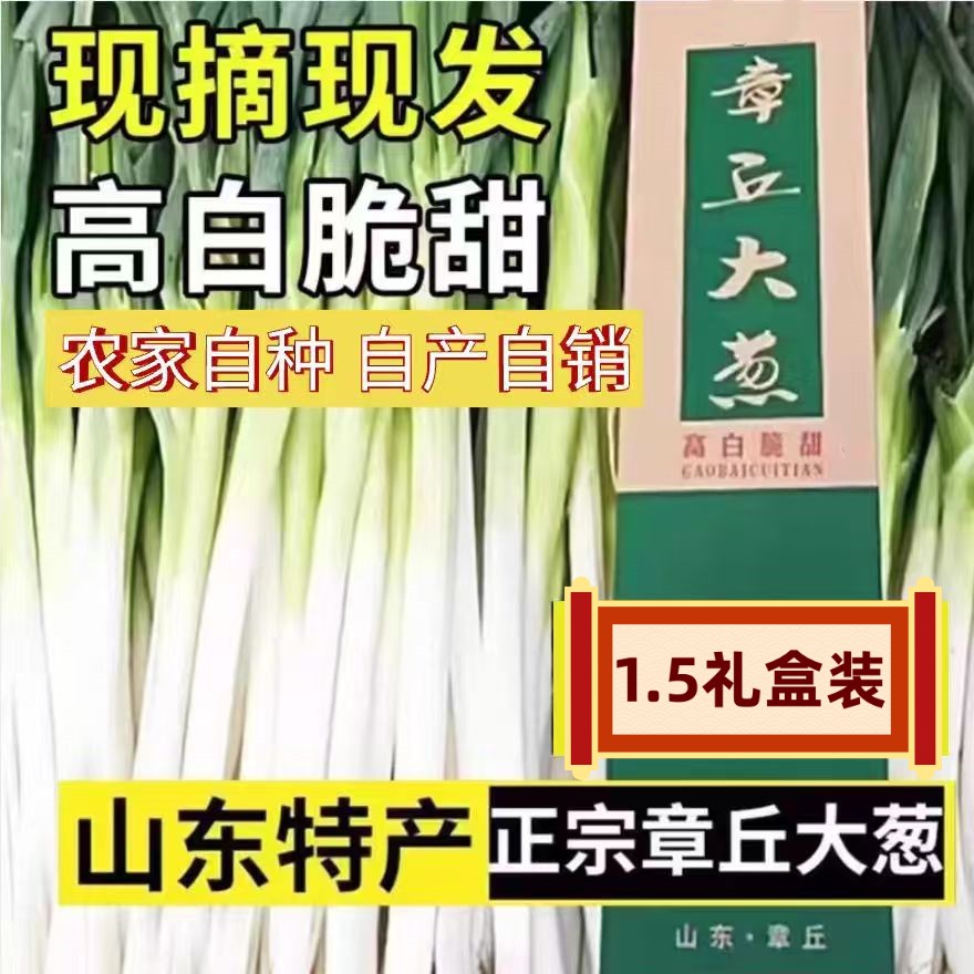 章丘本地大葱葱王礼盒脆甜大葱