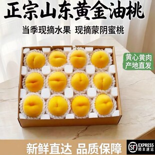 顺丰山东蒙阴黄金油桃新鲜水果当季现摘黄心油桃大黄桃脆桃硬桃子