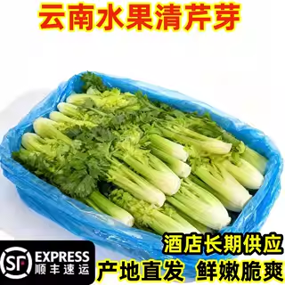 云南高原水果清芹芽生吃新鲜水果芹菜当季蔬菜现摘发绿色青菜顺丰