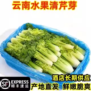 云南高原水果清芹芽生吃新鲜水果芹菜当季蔬菜现摘发绿色青菜顺丰
