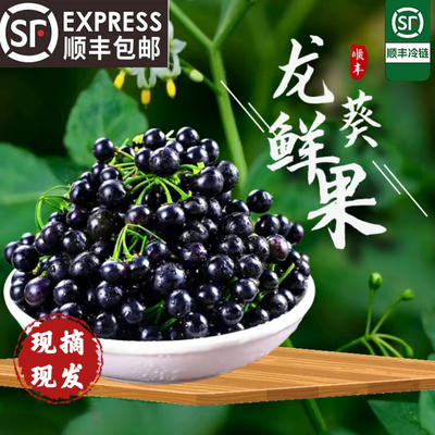 新鲜龙葵果野葡萄馋味鼠果500g