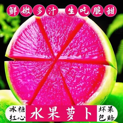 新鲜现挖心里美萝卜心灵美绿皮红心水果泡菜萝卜红心萝卜绿皮红心