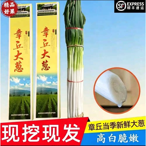 26年章丘精品大葱高白脆葱王礼盒