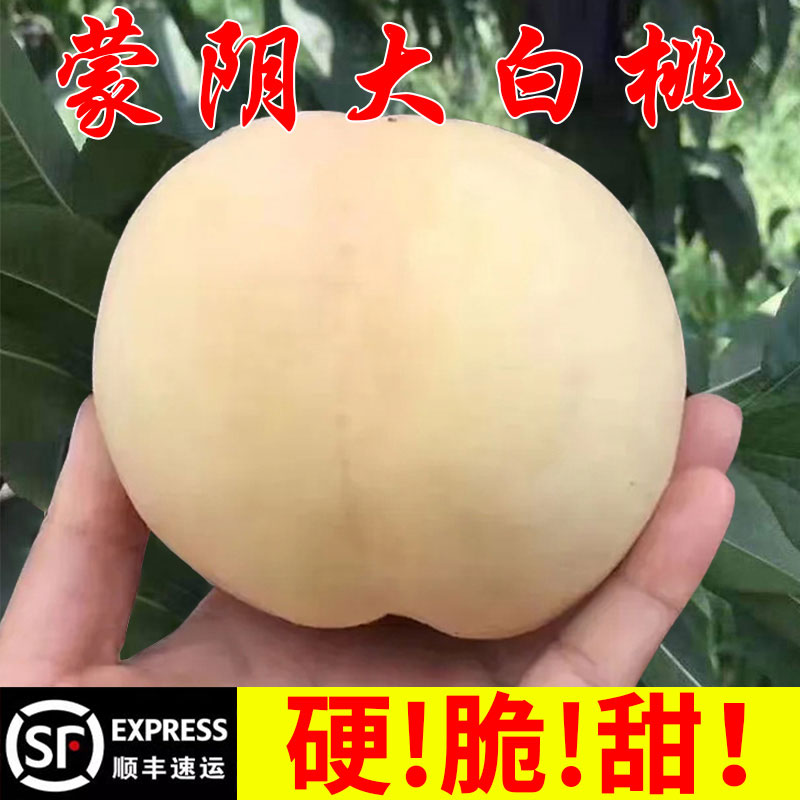 正宗蒙阴奶油大白桃当季水蜜桃脆甜多汁白毛桃新鲜水果顺丰包邮