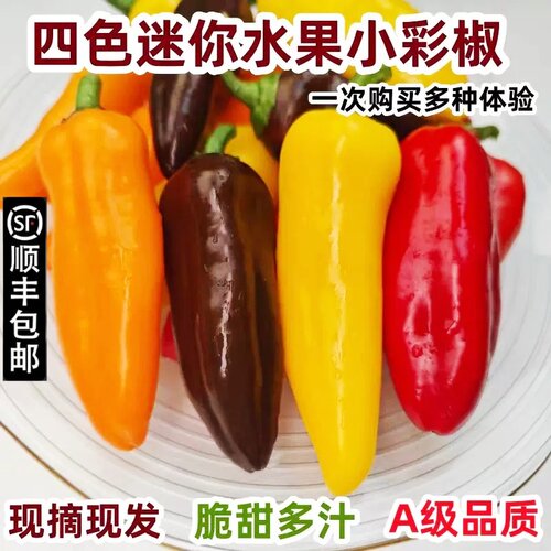 顺丰四色迷你水果彩椒新鲜现摘巧克力小甜椒生吃脆甜不辣沙拉蔬菜