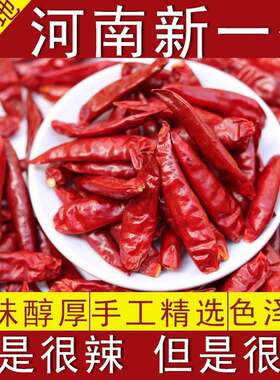 河南辣椒新一代干微特香