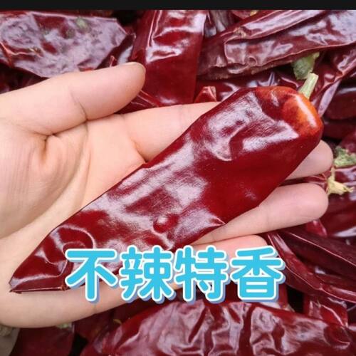 新疆辣皮子大个板椒特红不辣特香上色炒米粉商用红油干辣椒红辣椒