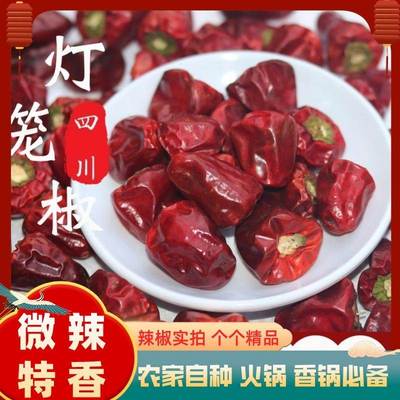 干辣椒灯笼特香微贵州四
