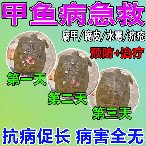 甲鱼病专用药杀菌灵水霉白斑病清