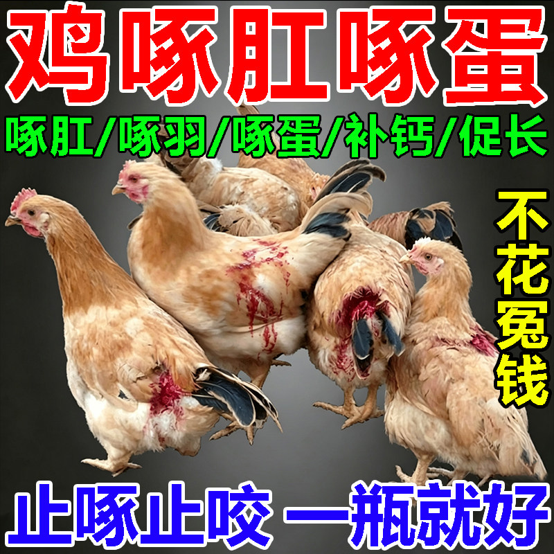 养鸡防啄蛋啄毛啄肛药禽用止啄止咬灵专治鸡啄蛋啄肛打架补充营养