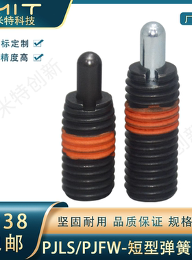 PJLS/PJFW短轻载型弹簧柱塞碳钢螺纹锁紧定位销圆柱销丝杆螺柱M10