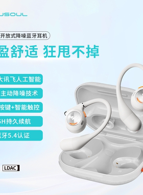JSoul Mate Sport Pro AI智能翻译开放式主动降噪蓝牙耳机健身