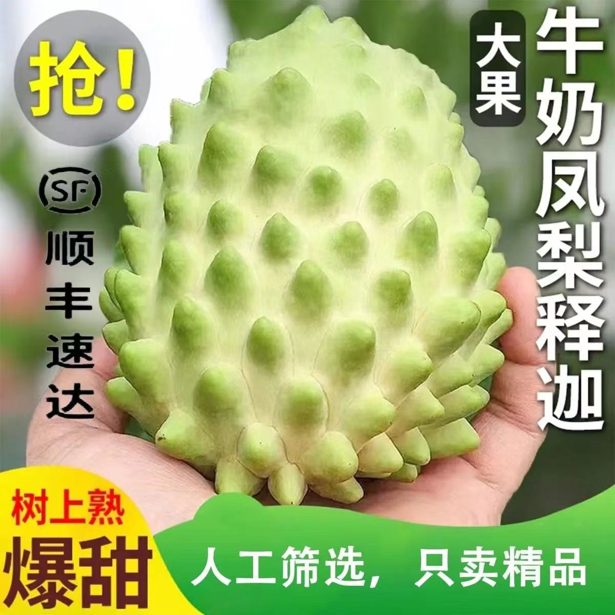 现摘顺丰释迦果新鲜番荔枝大目凤梨牛奶佛头果林檎摩尼果当季水果
