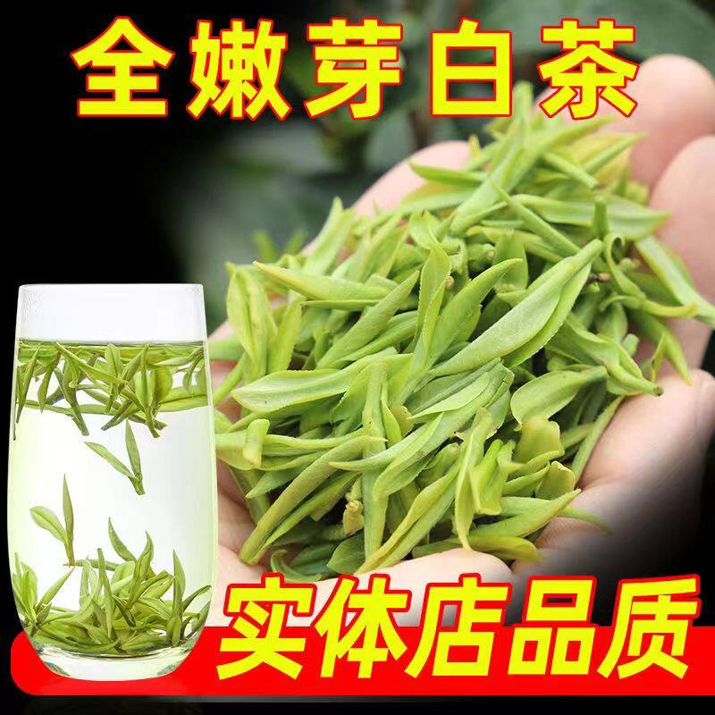 安吉白茶2023新茶半斤茶叶自己喝