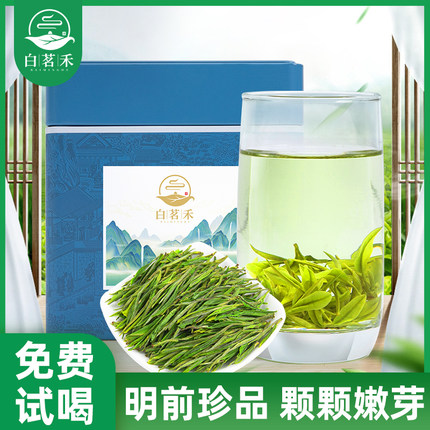 明前茶绿茶2023年春茶半斤250g茶叶礼盒装精品自己喝安吉白茶新茶