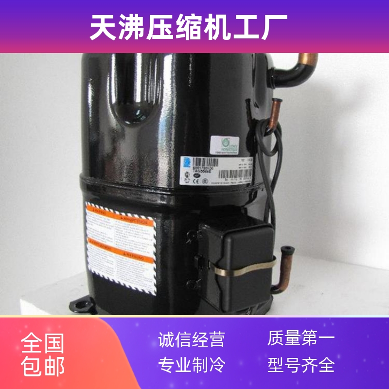 法国泰康3P匹中低温冷库冻库空调压缩机螺焊口FH5538F TFH5538F