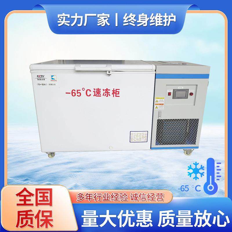 商用低温冰箱328L零下负65°C双门低温冰箱大容量鱼虾冷冻冰箱