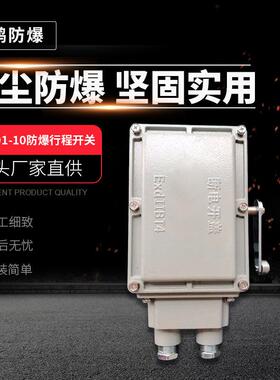 生产销售BLX11BLX501-10防爆行程开关重锤开关通用防爆行程开关