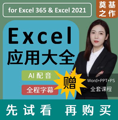 Excel表格函数视频教程WPS Office办公软件Word/PPT/PS零基础网课