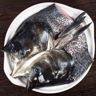 千岛湖鱼头鳙鱼胖头鱼花鲢鱼头活鱼现杀新鲜鱼头